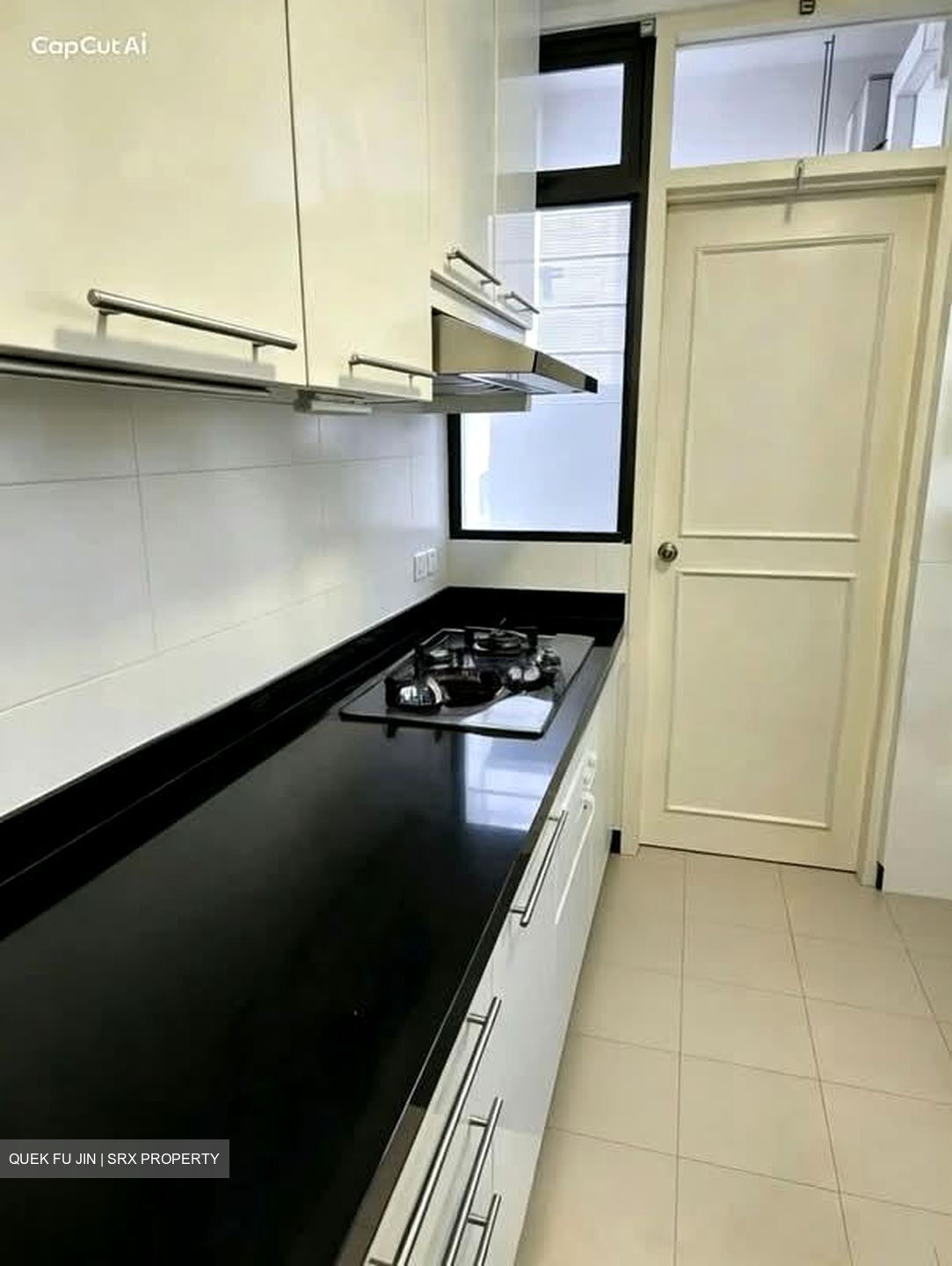 Tanglin Park (D10), Condominium #596204251